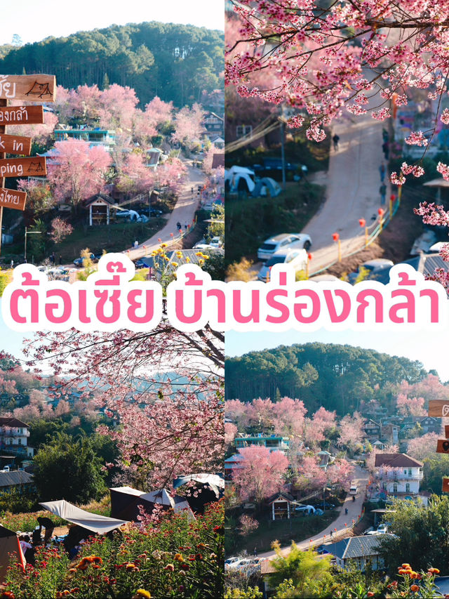 ต้อเซี๊ย บ้านร่องกล้า