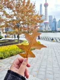 North Bund Green Land @ Shanghai