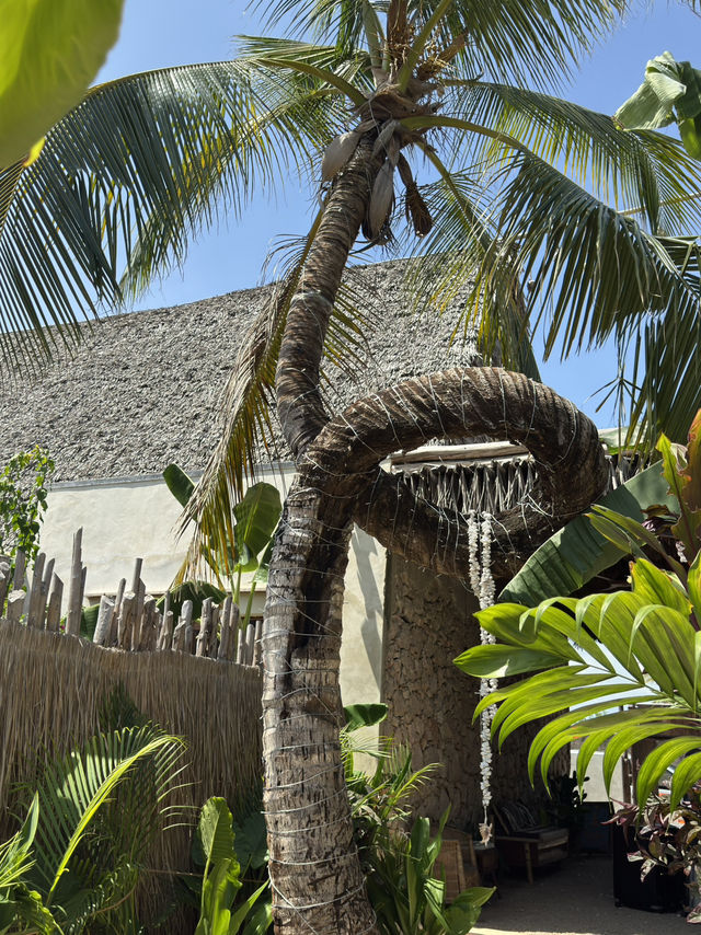 アフリカの楽園ザンジバル島のおすすめホテル🌴