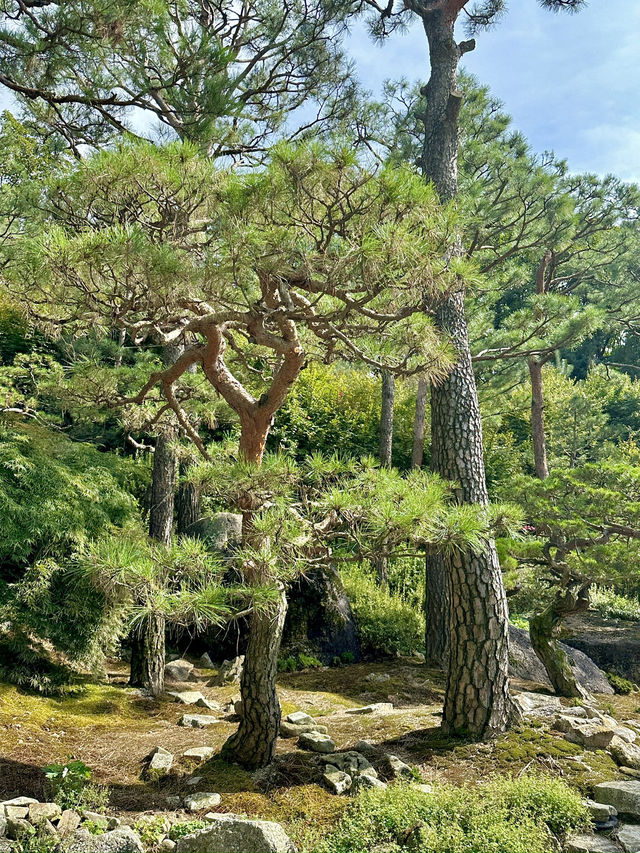날 좋은 날 데이트하기 좋은 곳!