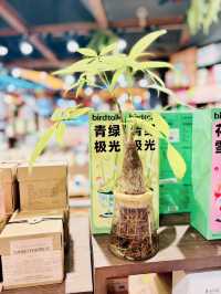 【深圳】星河Coco Park：交通方便的放假好去處