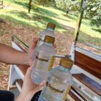 Durian Land จันทบุรี 