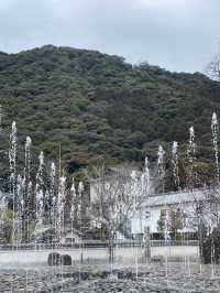 山口｜屹立逾350年 全木頭打造「不會倒的橋」岩國錦帶橋