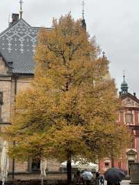 Discover the Majesty of Prague Castle