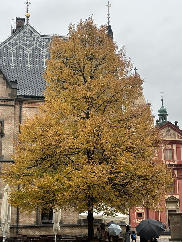 Discover the Majesty of Prague Castle