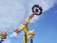 Swooping Over the Sea: Ocean Park's Best Moments