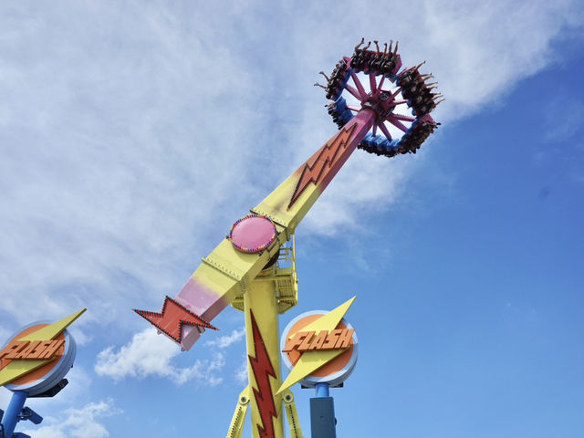 Swooping Over the Sea: Ocean Park's Best Moments