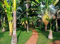 泰國麗貝島最美泳池海灘度假村酒店:Mali Resorts Sunrise Beach，用trip.com預定能享受最大優惠