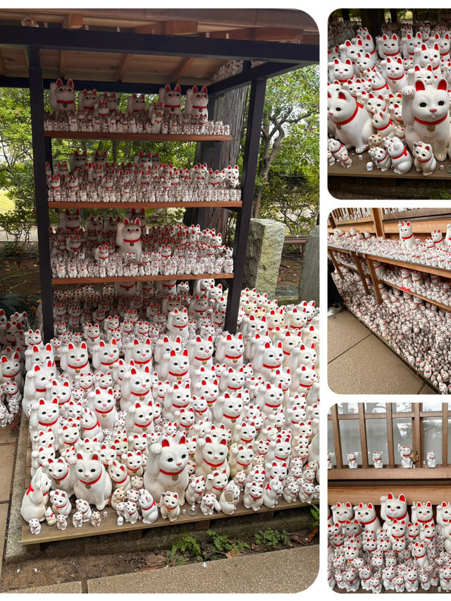 尋找東京🇯🇵招財貓🐱之旅 (二)