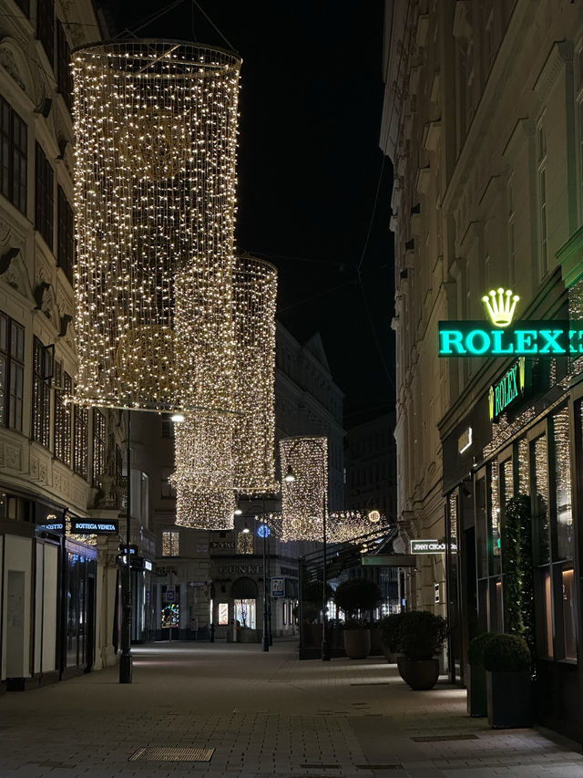 Experience the Magic of Vienna by Night