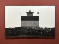 Dive Into Contemporary Art at Albertina Modern