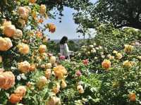 《横浜》秘密の花園にて