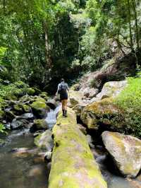 Nature’s Paradise: Hiking Lamington National Park