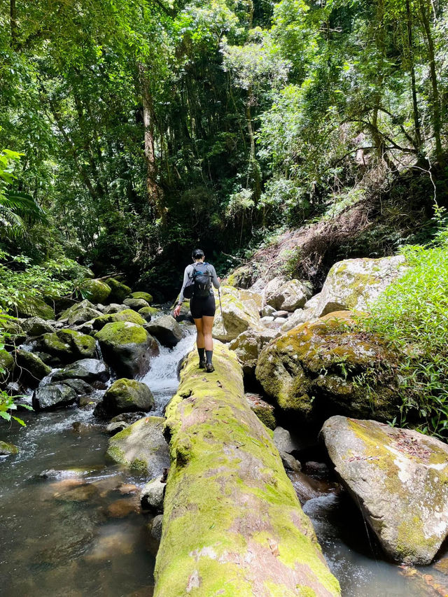 Nature’s Paradise: Hiking Lamington National Park