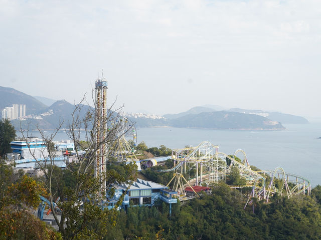 刺激好玩又浪漫💖海洋公園情人節攻略