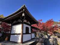 A Symphony of Colors – The Lonely Souls in the Adashino Nenbutsu-ji Temple