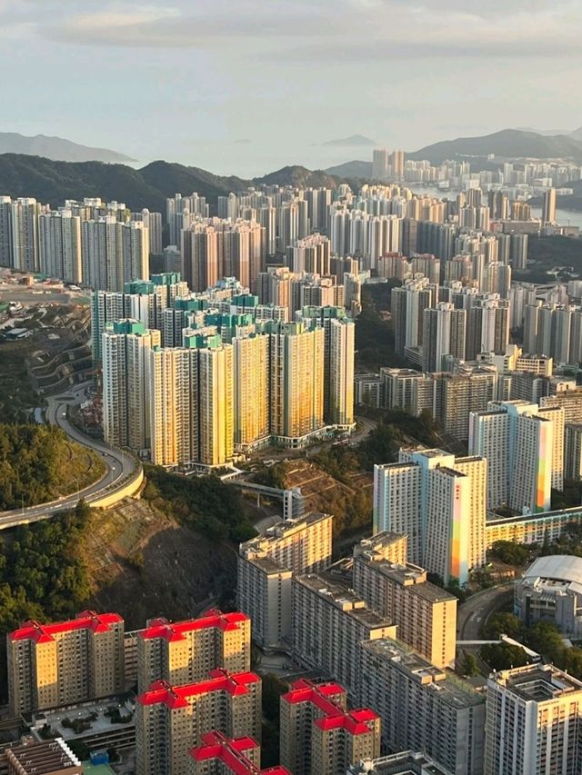 香港飛鵝山‐情人節的浪漫登山之旅🏞️💖，與愛人共享每一刻的美好