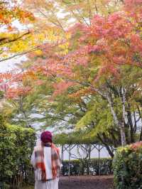 【大分県/由布市】金鱗湖半で期間限定の絶景に出会う