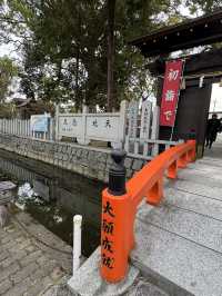 【福岡観光】御神木の大きさに驚き🌳地元で愛される神社⛩