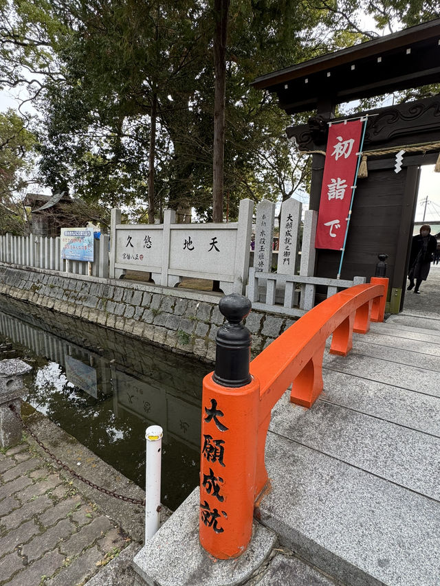 【福岡観光】御神木の大きさに驚き🌳地元で愛される神社⛩