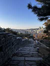 계절마다 피는 금계국과 야간 등대 조명이 운치를 더하며 걷는 서포루🇰🇷