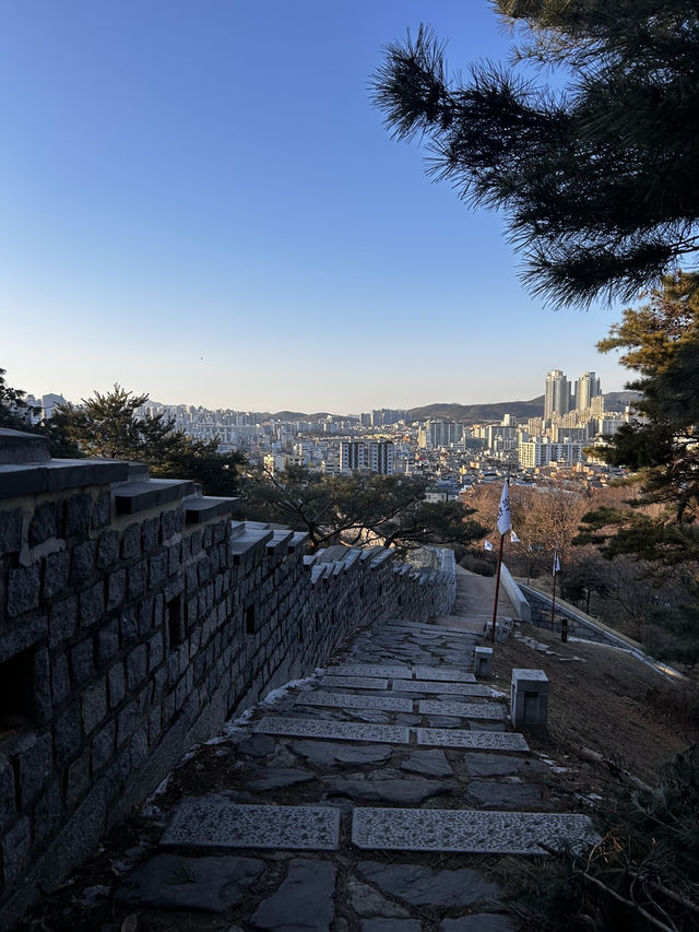 계절마다 피는 금계국과 야간 등대 조명이 운치를 더하며 걷는 서포루🇰🇷
