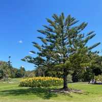 雪梨市中心皇家植物園（Royal Botanic Garden Sydney）