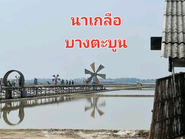 เสน่ห์นาเกลือ✨️บางตะบูน