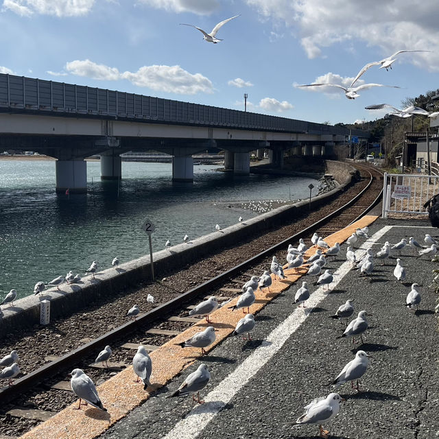 【静岡】天竜浜名湖鉄道  浜名湖佐久米駅の冬❄️