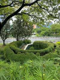 Fort Canning Tree Tunnel
