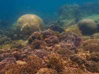 ดำน้ำเกาะจาน เกาะท้ายทรีย์ หาดวนกร ประจวบฯ