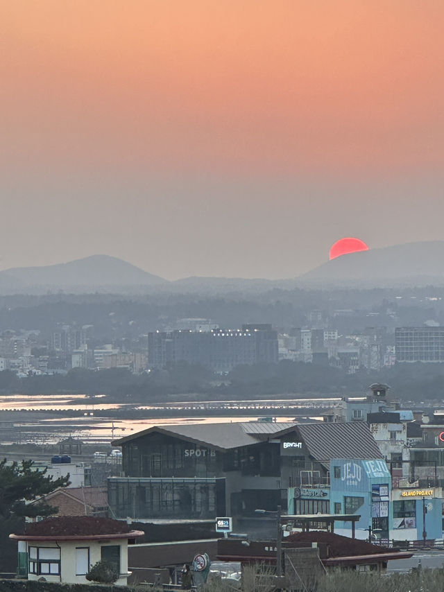 [제주] 하루안에 각각 다른 매력의 해변 4군데 가는 법..💕