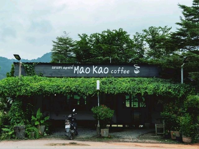เมาเขา คอฟฟี่ เชียงราย  ⛰️