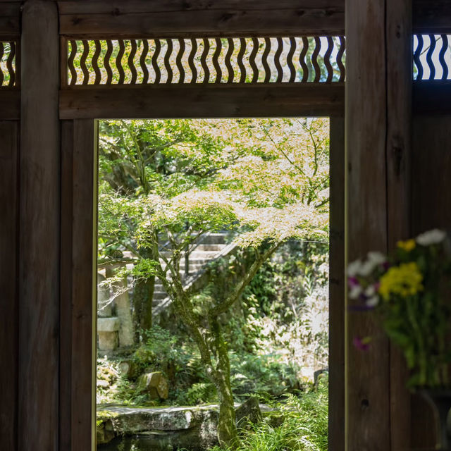 曹溪寺🌳清幽寧靜 