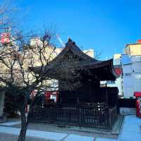 新田神社 🌿城市中的一片寧靜