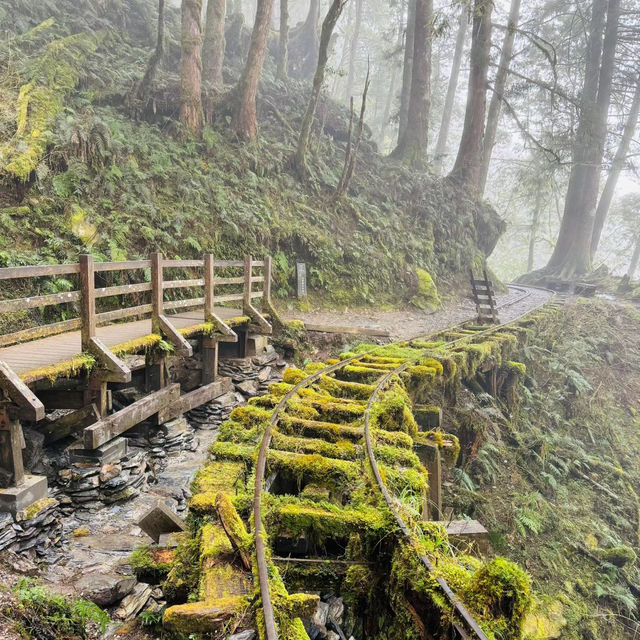 天母古道親山步道 | 清新綠野的悠然