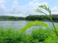 อ่างเก็บน้ำห้วยแม่สัน จ.ลำปาง 🌳🌿