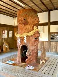 【和歌山県】樹木の神様のもとで木の股くぐり
