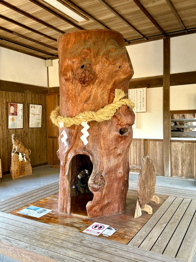 【和歌山県】樹木の神様のもとで木の股くぐり