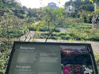 Leiden Botanical Garden (Hortus Botanicus Leiden)