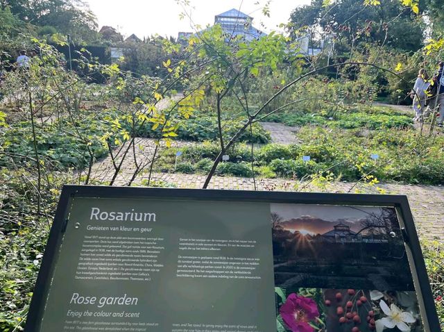 Leiden Botanical Garden (Hortus Botanicus Leiden)
