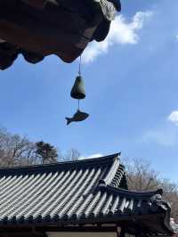 경북 영주에 가보셨나요?😆