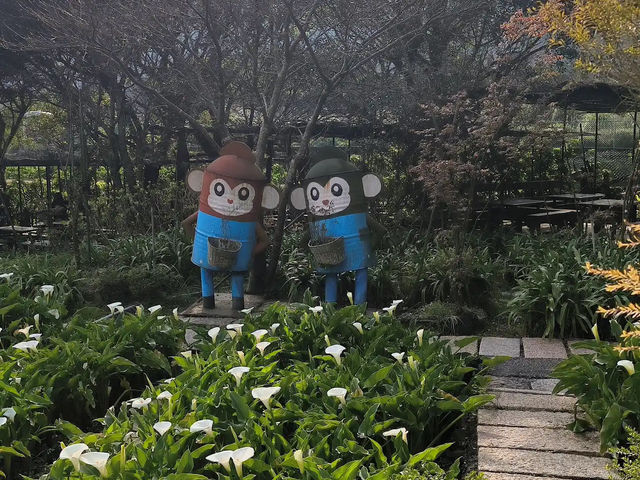 竹子湖✨夢幻花海與清新自然的絕美之地 🌸🏞️