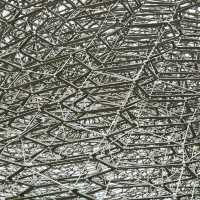 Royal Botanic Gardens, Kew (London)