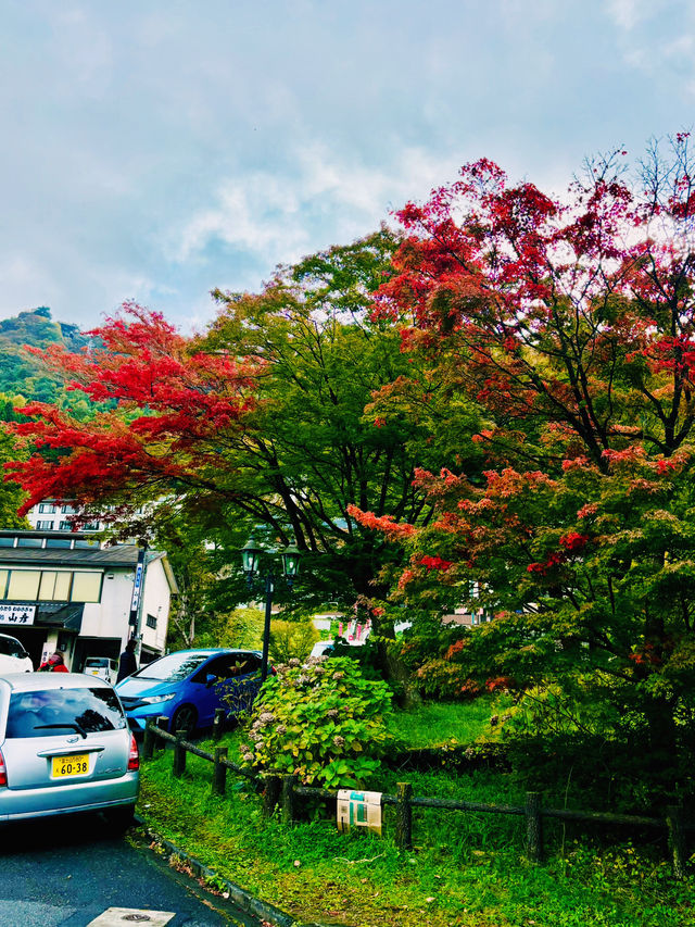 【日本山梨】河口湖美景、天上山下紅葉