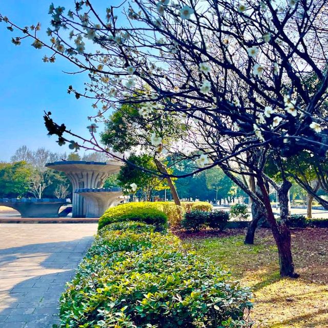 Kasuga Park (春日公園)