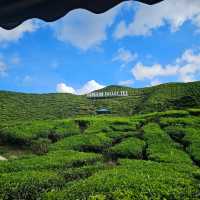 Beautiful Cameron Highlands 