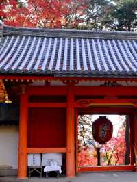 Kyoto - Bishamon-do temple