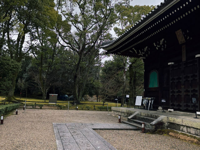 貴重な経典を収める静寂の空間📜✨