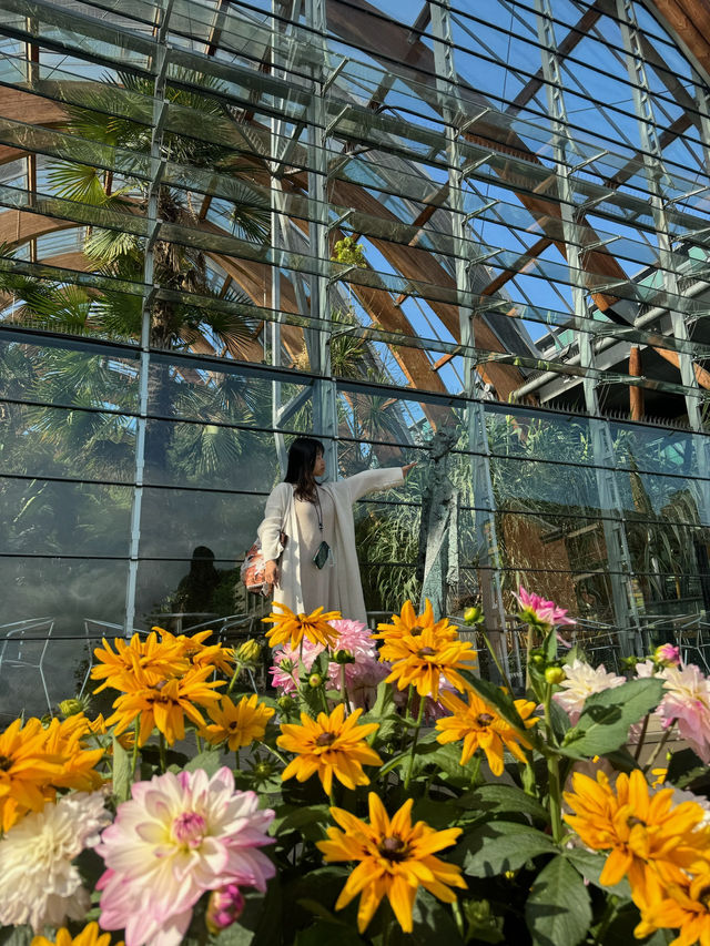 Spring Awakens at Sheffield Winter Garden 🌿🌸